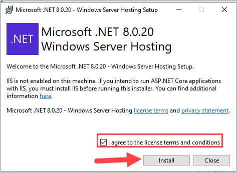 .net server hosting